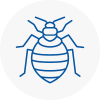 Bed Bug Extermination In Aylestone