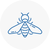 Bee Nest Removal Aylestone
