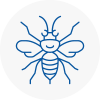 Aylestone Hornet Nest Removals