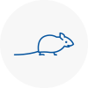 Mice Exterminators In Aylestone