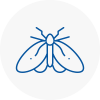 Moth Control Specialists In Aylestone