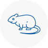 Rat Control Aylestone