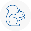 Aylestone Rodent Removals